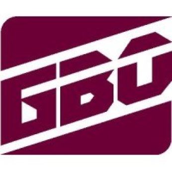 Logo bauwens 3
